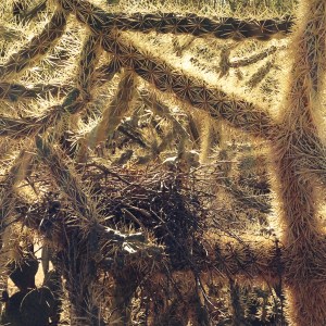 2013-12-26 13.14.23-1