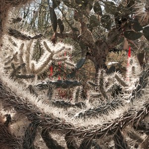 2013-12-26 13.14.28-1